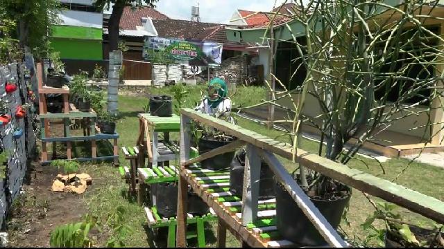 Perkuat Daya Tahan Tubuh, Warga Kampung di Kota Probolinggo Tanam Toga Bersama