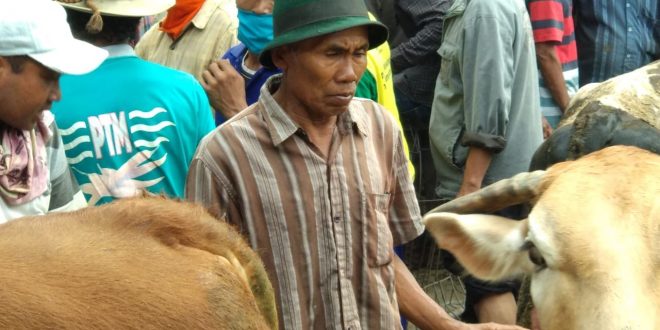 Himbauan Walikota dan Muspida Kota Probolinggo Tidak Dipatuhi Pedagang dan Pembeli, Akhirnya Pasar Sapi Wonoasih Ditutup