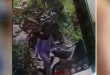 Diduga Wanita Berjilbab Curi Helm di Parkiran Motor Terekam CCTV