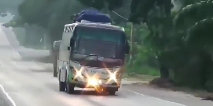 Merinding, Aksi Ugal-ugalan Bus Antarkota Melawan Arah