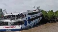 Mesin Rusak, Kapal Dumai Line 9 Terdampar di Hutan Bakau