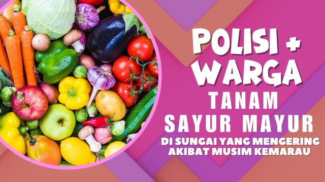 Polisi dan Warga Tanam Sayuran di Sungai yang Mengering