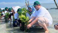 IPC TPK Lawan Abrasi dengan Mangrove dan Terumbu Karang