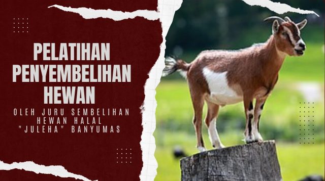 Pelatihan Menyembelih Hewan Kurban Halal oleh Juleha Banyumas Diikuti 60 Peserta