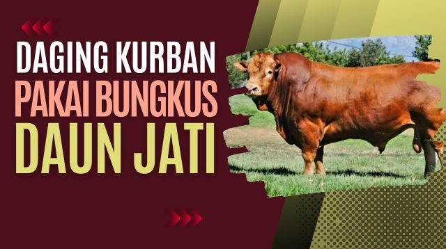 Pembagian Daging Kurban Pakai Bungkus Daun Jati