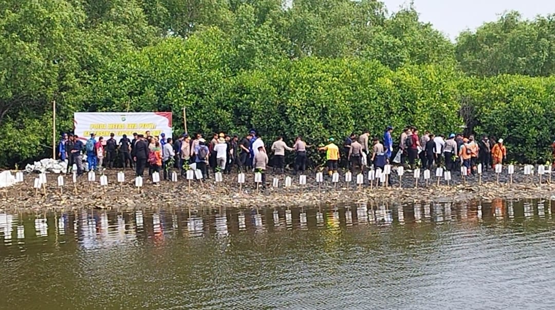 Kapolda Metro Jaya Pimpin 350 Personel Gabungan Bersihkan Sampah di Kawasan Mangrove Muara Angke