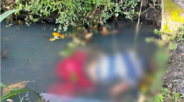 2 Mayat Mengapung dalam Parit Gegerkan Warga Medan