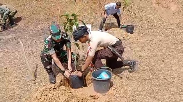 Penanam 2000 Pohon Dalam Rangka HUT Korem 0701 Wijaya Kusuma 