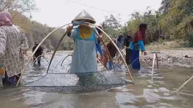 Tradisi Gebyug, Emak-emak Berburu Ikan di Sungai yang Dangkal di Musim Kemarau  