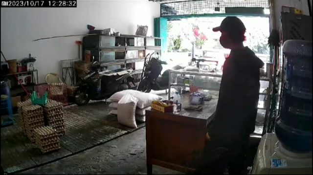 Pemilik Toko Pakan Ternak Tidur Dekat Laci Uang, Maling Ambil Uang Terekam CCTV