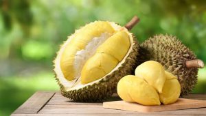 Penebas Durian Ketiban Rezeki Jutaan Rupiah, Memanfaatkan Panen Durian. (foto: the daily meal)