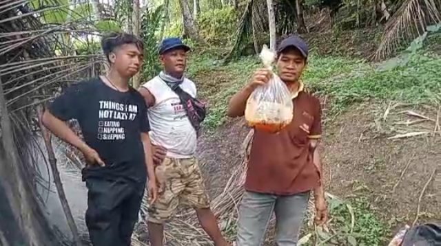 Keseruan Berburu Madu Hutan, Raup Cuan Jutaan Rupiah