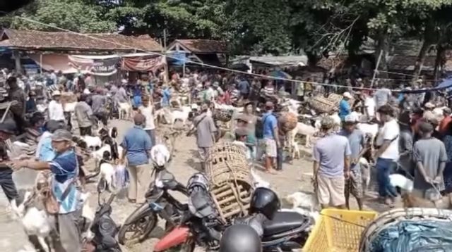 Ojek Kambing di Pasar Hewan Kewalahan Layani Order Jelang Idul Adha 1445 H