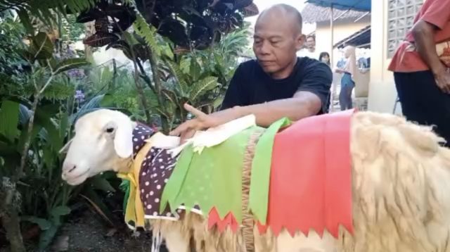 Tradisi Apitan, Warga Gelar Sedekah Bumi dengan Mengarak Kambing Hias