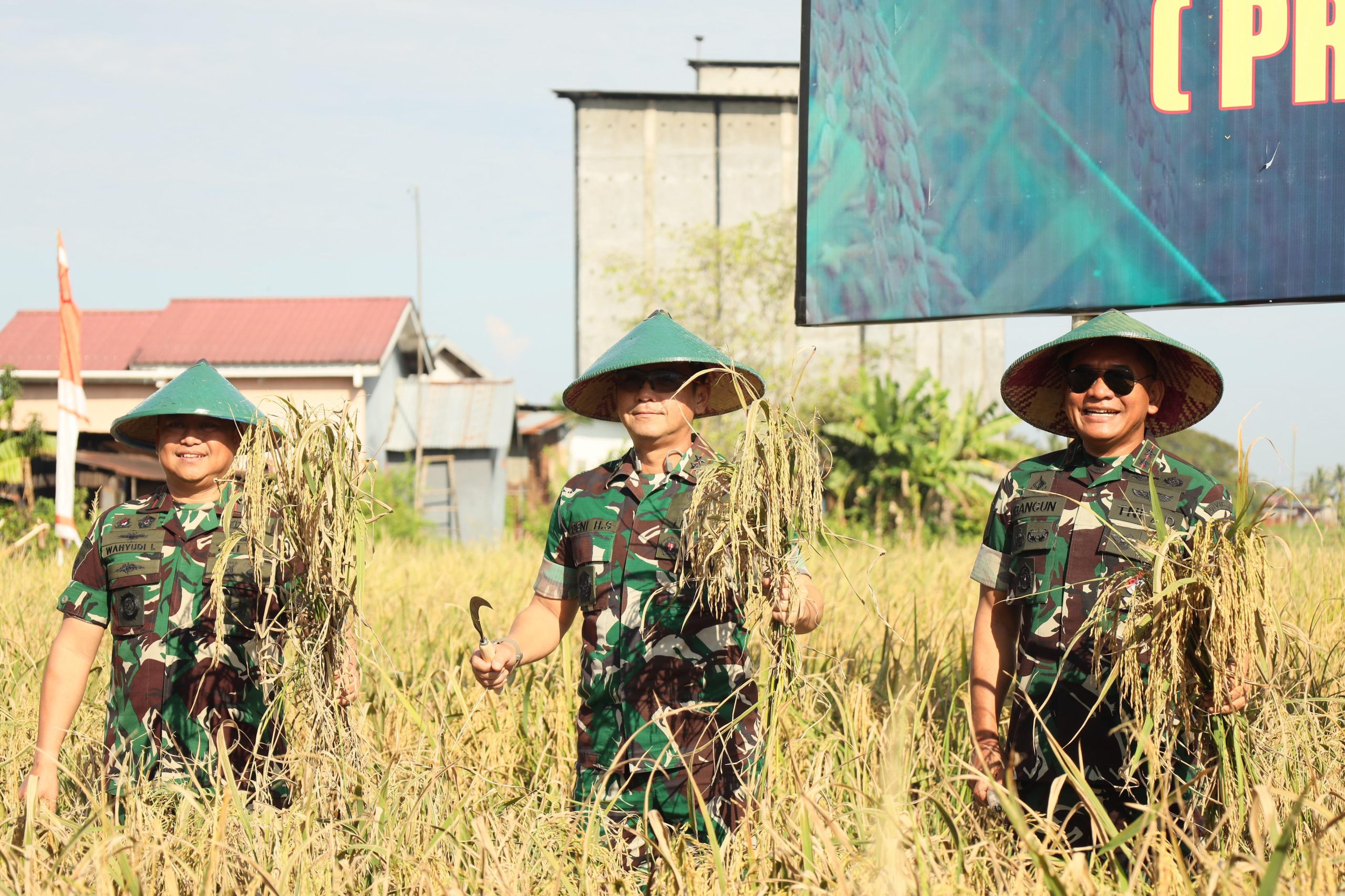 Danlantamal VI Hadiri Panen Raya Demplot Padi Sinar Mentari Kodam XIV/Hsn