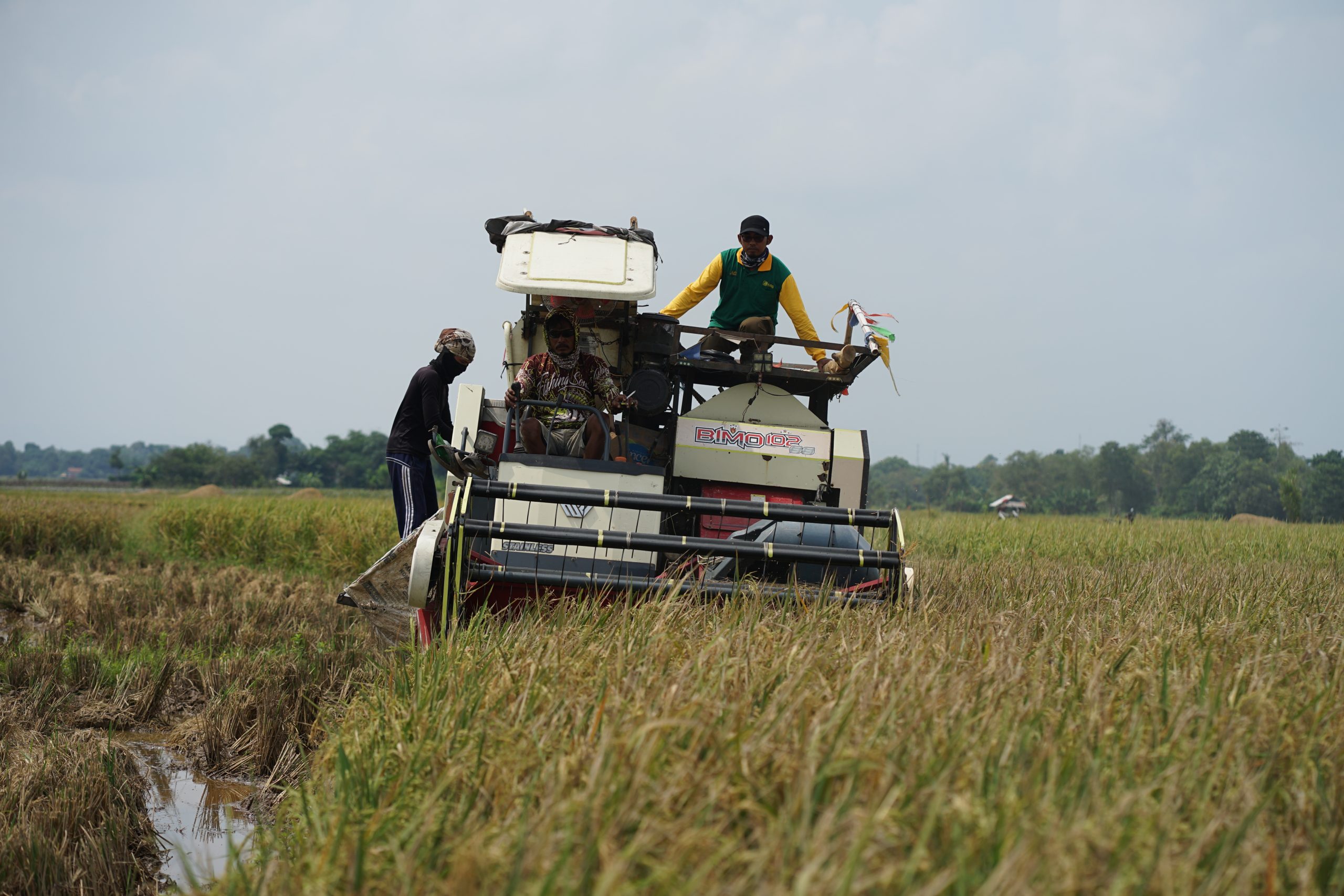 Artha Graha Peduli Dorong Ketahanan Pangan Nasional Melalui Program Intensifikasi dan Padi Sehat