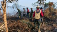 Sumber foto : KPH Kayong Utara