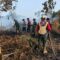 Sumber foto : KPH Kayong Utara